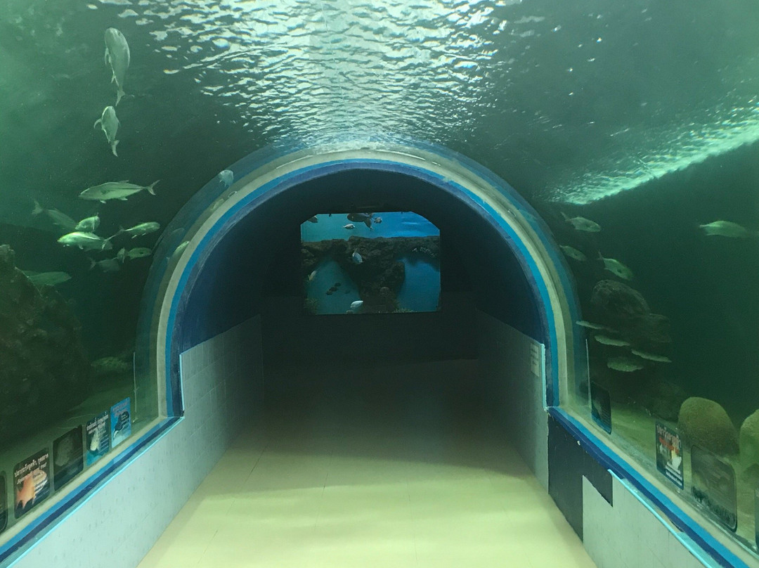 Khlong Khok Kham-龙仔厝必去景点