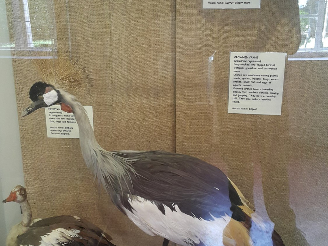 Enashipai Maa Museum-奈瓦夏必去景点