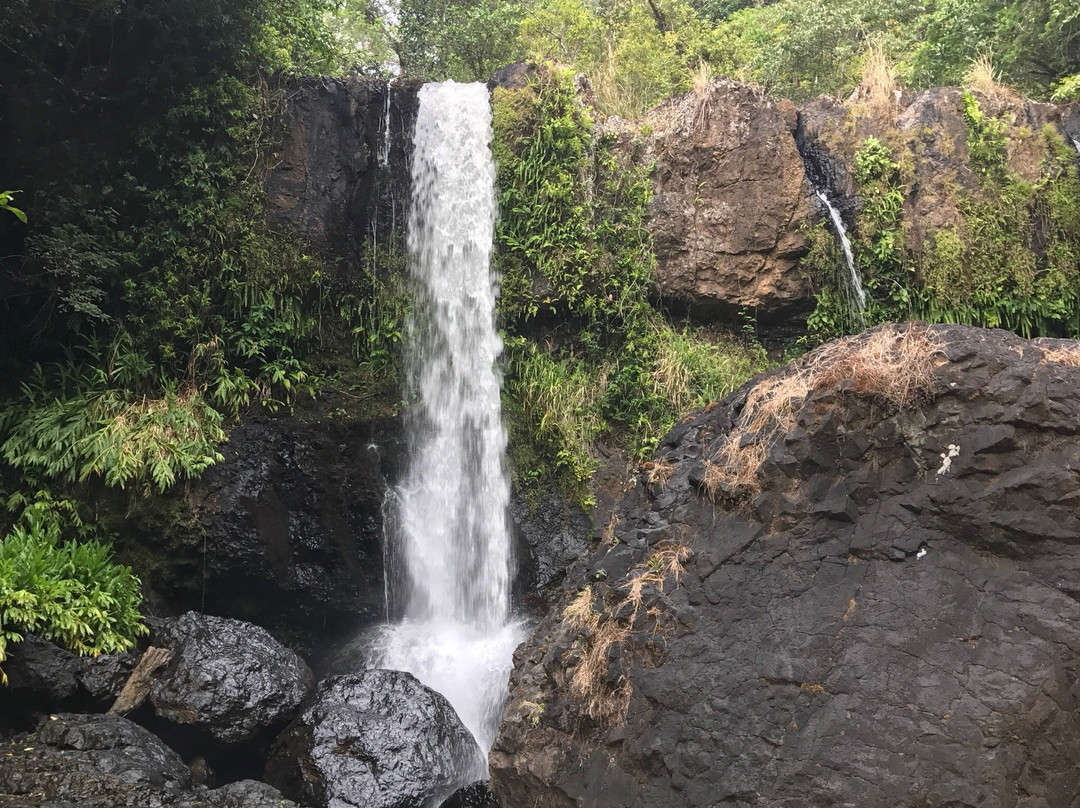 Wooroonooran National Park-Topaz必去景点