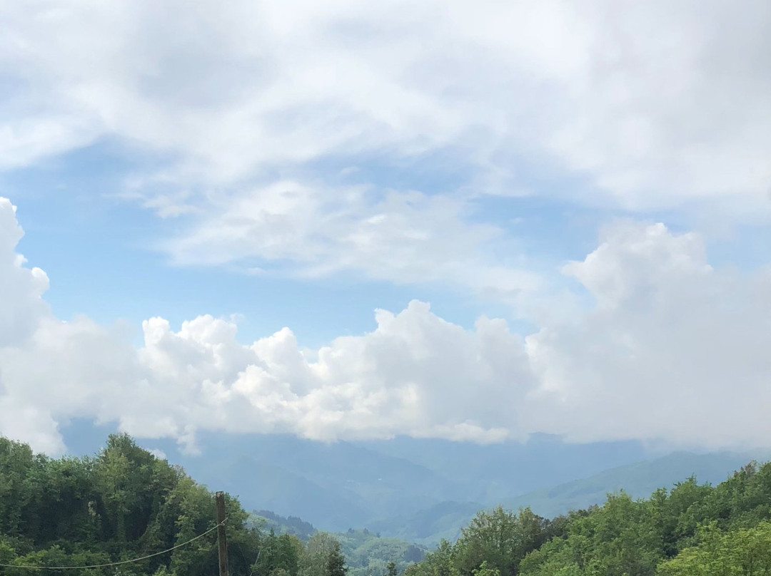 Alle Vignole B&B主图