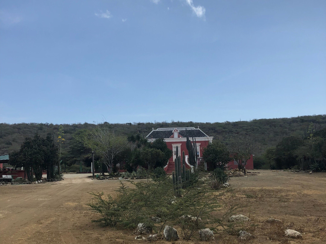 Landhuis Papaya-威廉斯塔德必去景点