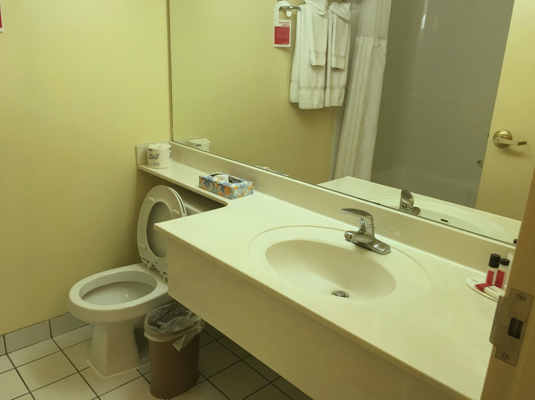 Divya Sutra Plaza and Conference Centre Calgary Airport主图