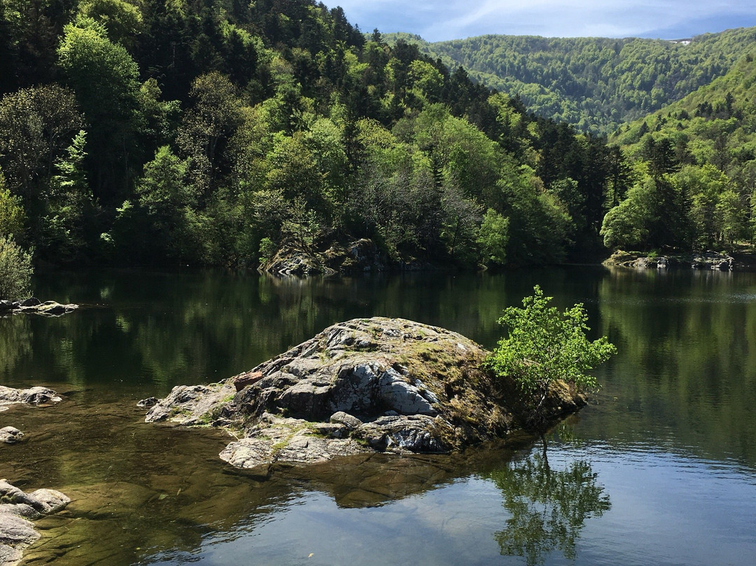 Lac d’Alfeld景点图片