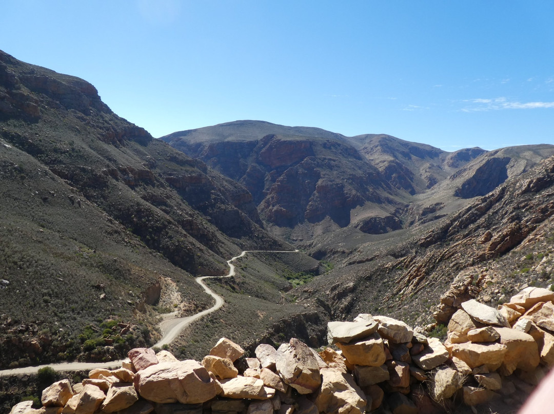 Greater Addo旅游攻略图片