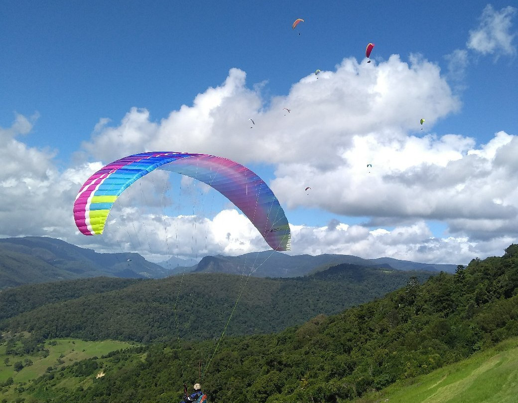 Rosins Lookout Conservation Park景点图片