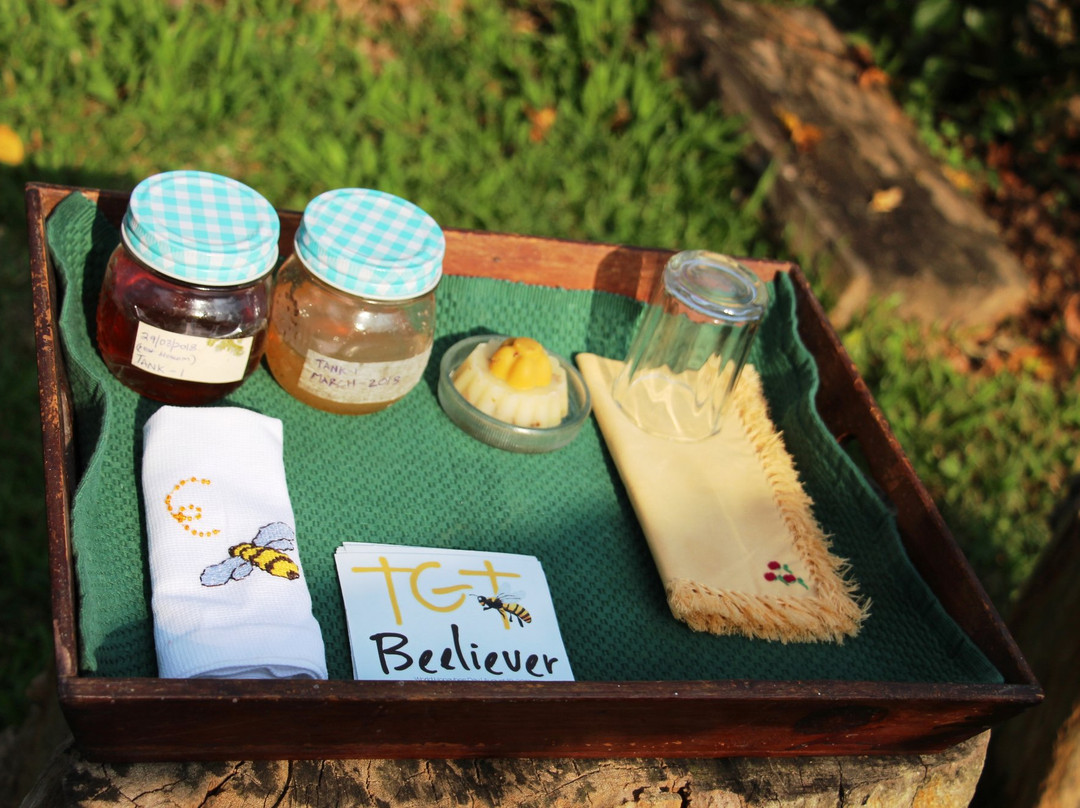 The Giving Tree at Kasthuri Estate-希达普拉必去景点