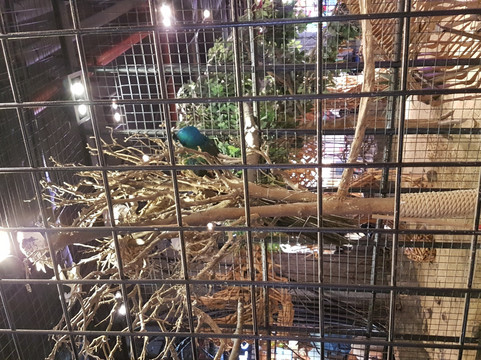 时尚天河商业广场-广州市必去景点