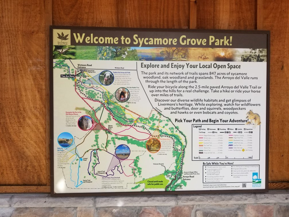 Sycamore Grove Regional Park-利佛摩必去景点