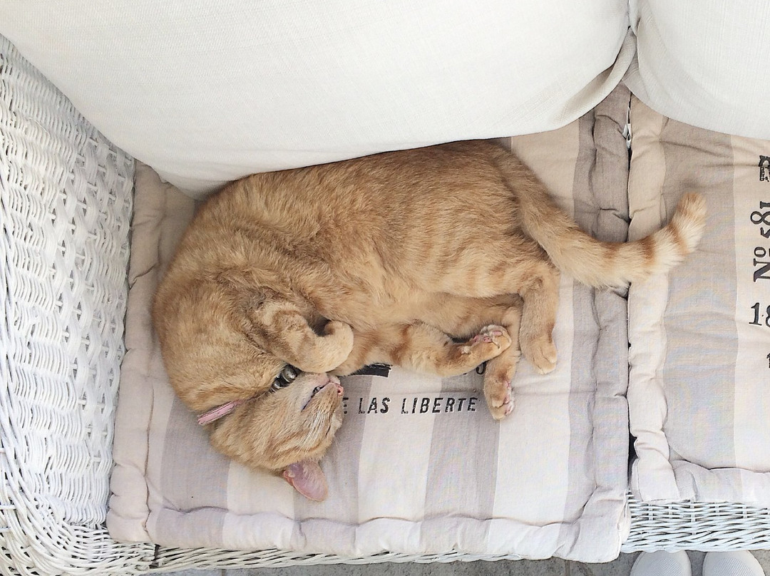 Ditsem Beach House主图