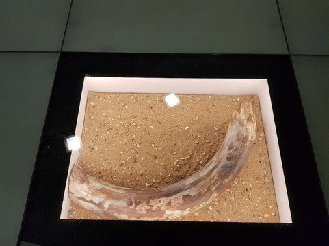 ArcheoPoint-杜塞尔多夫必去景点