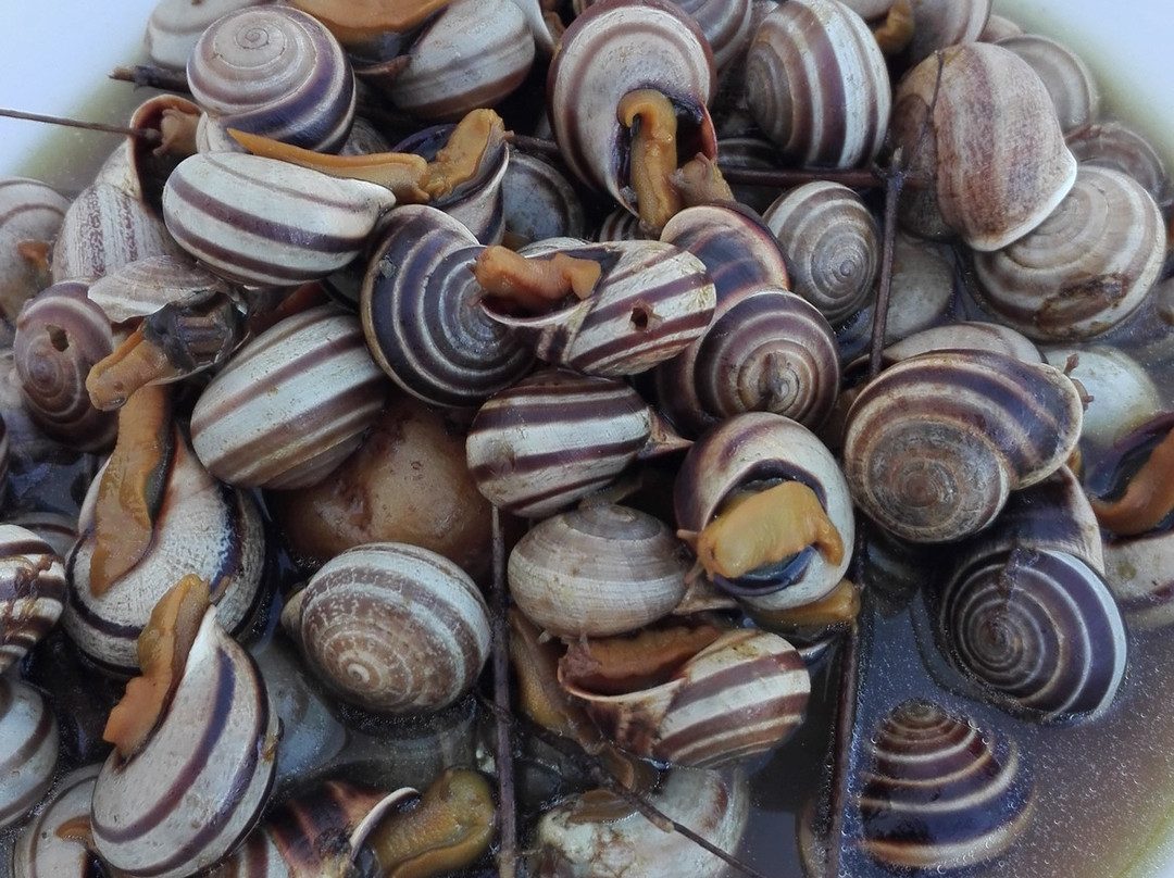 Paisagem do Guadiana Turismo Rural主图