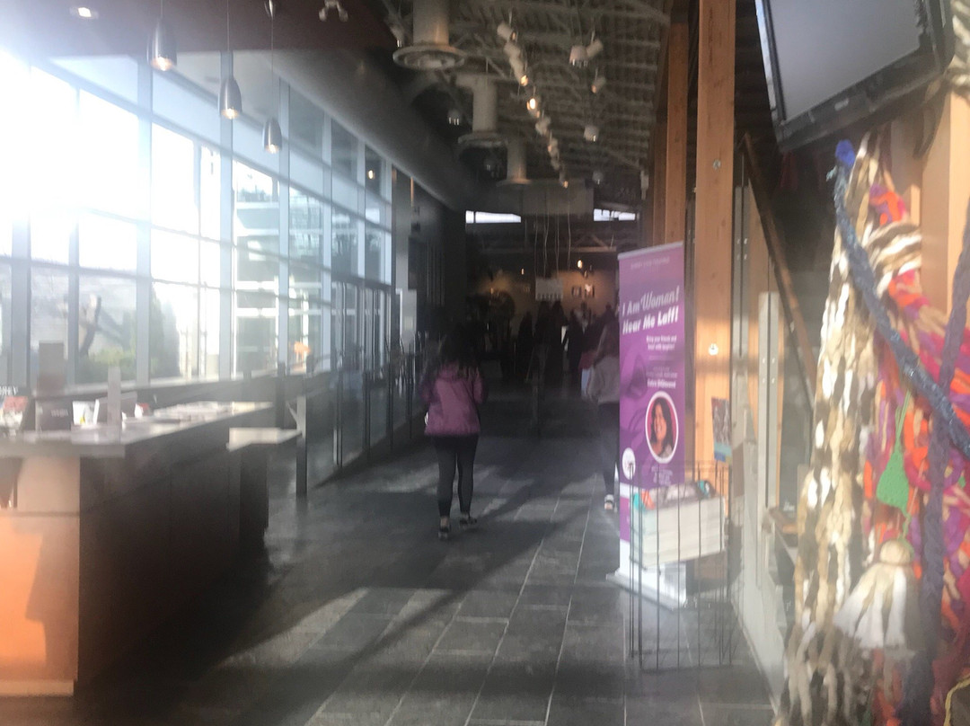 Surrey Art Gallery-素里必去景点