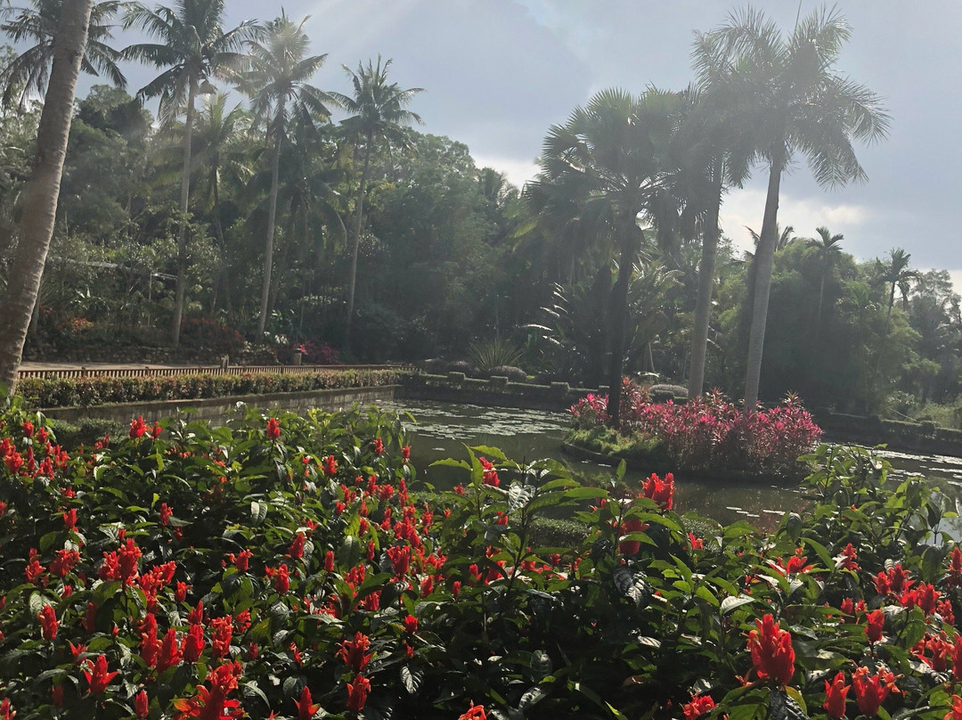 兴隆热带植物园景点图片