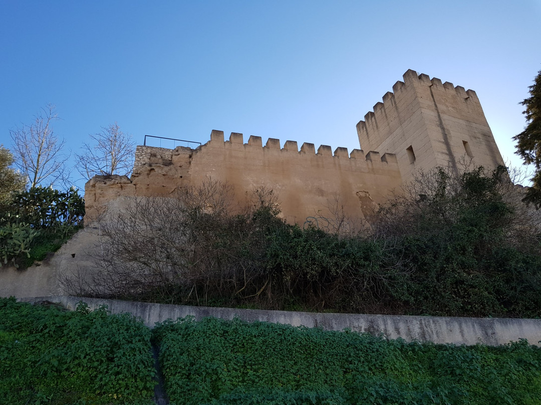 Castle of Alcácer do Sal景点图片