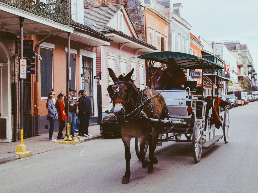 New Orleans Custom Tours and Productions-新奥尔良必去景点