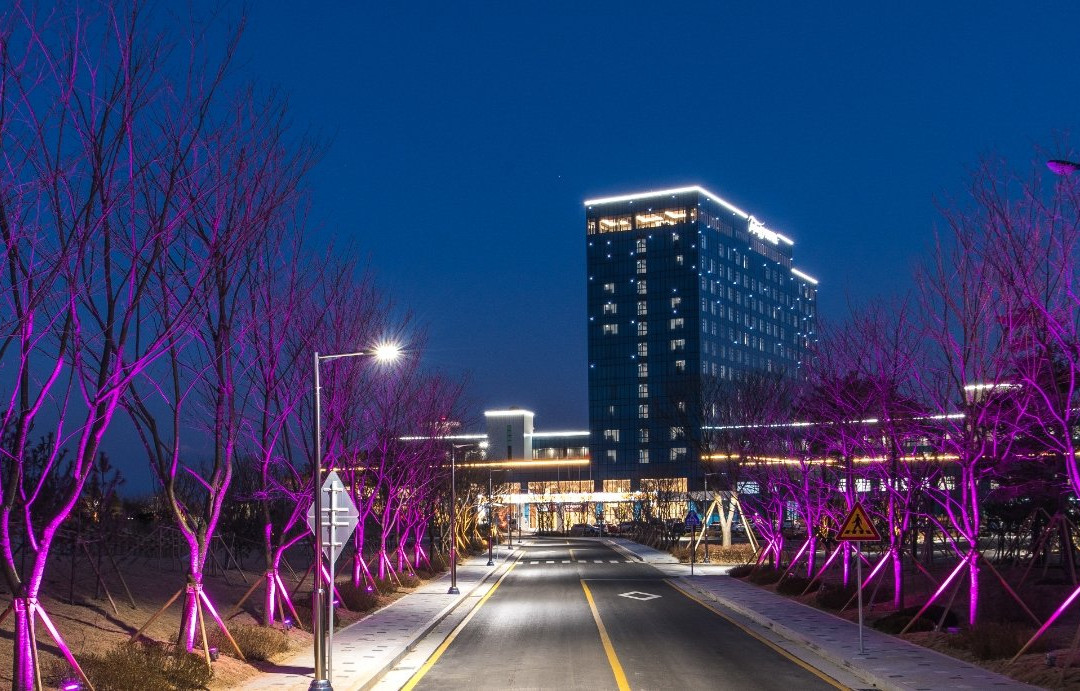 Hotel Tops 10主图