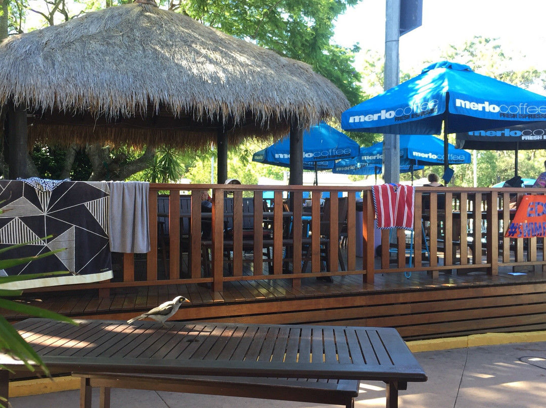 Yeronga Park Heated Pools景点图片