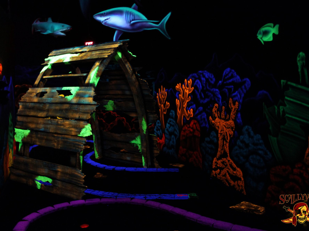 Scallywag Tag-辛辛那提必去景点