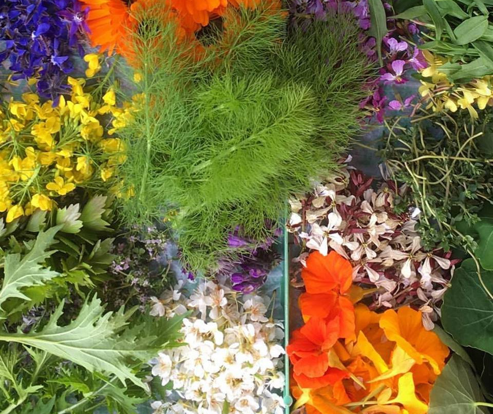 Granja Educativa Buena Vista-Osorno必去景点