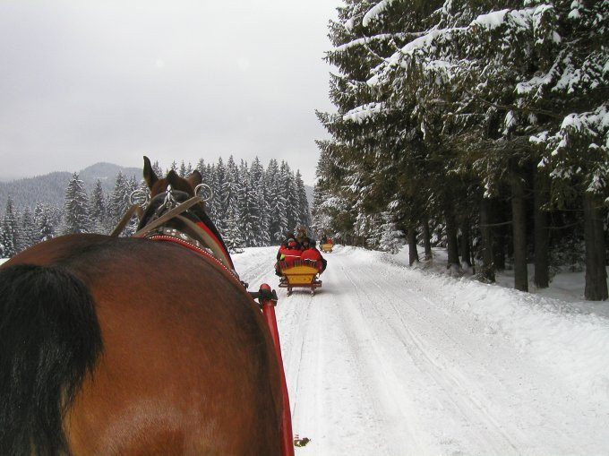 Sleigh Ride in the Tatra National Park景点图片