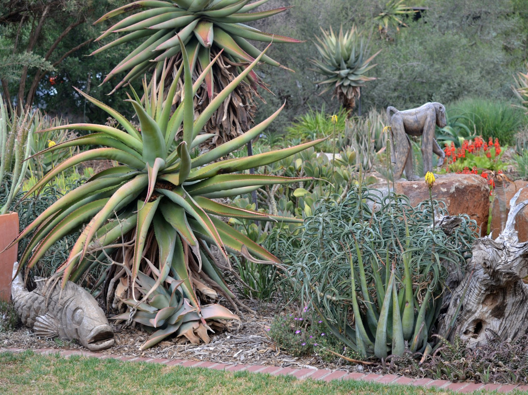 Liedjiesbos B&B and Urban Olive Farm主图