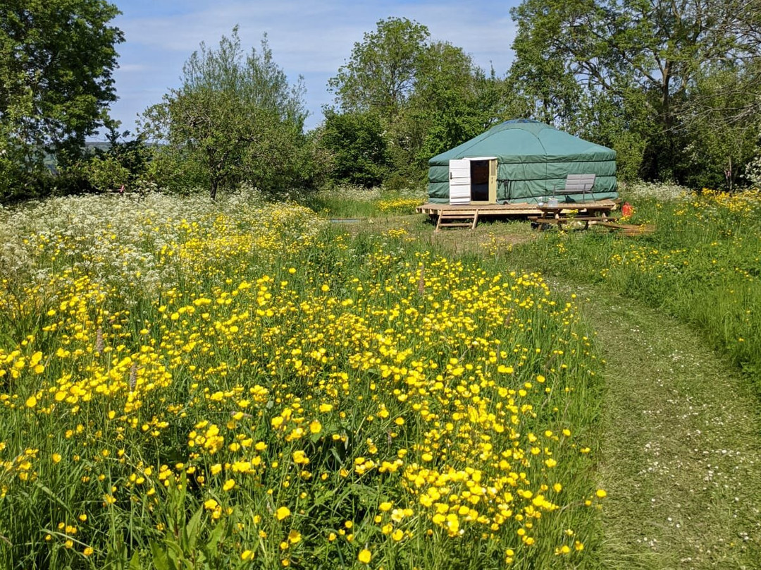 Jellylegs Orchard