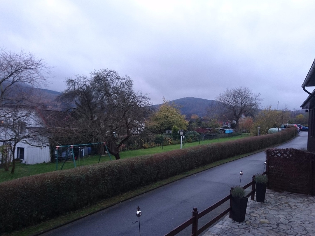 Harzhotel Grünett主图