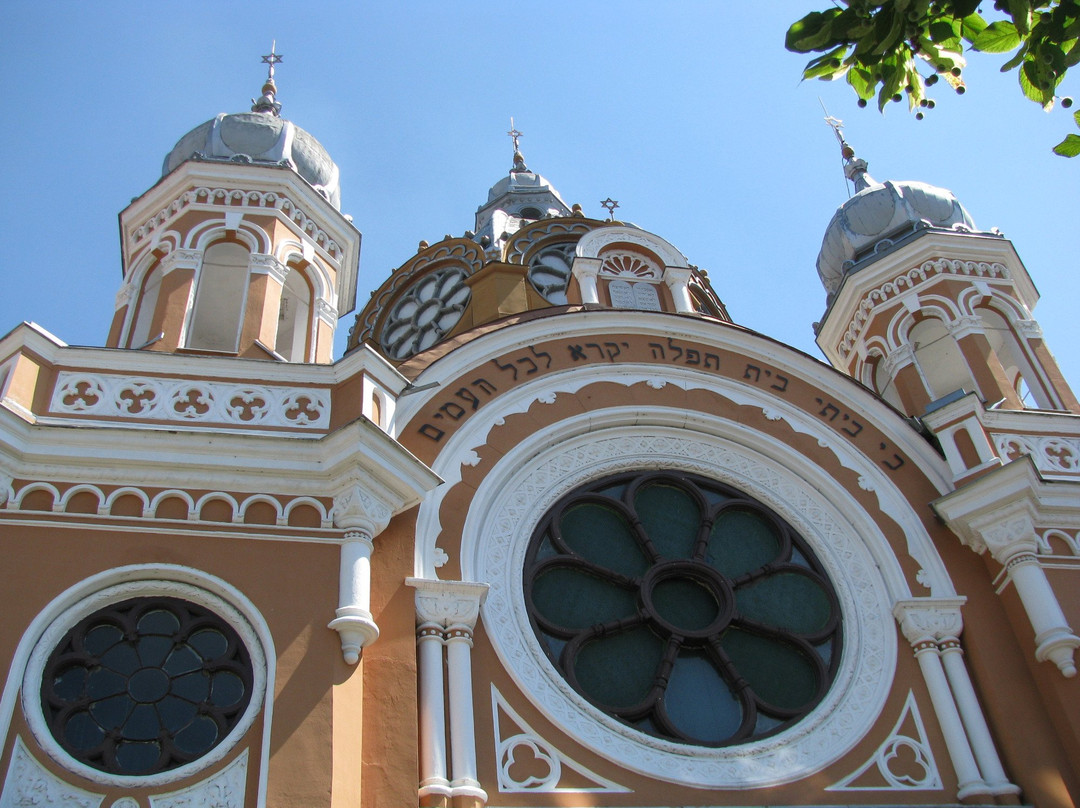 Synagogue of Tg. Mures景点图片