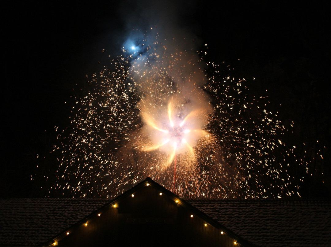 Johannesbachklamm-Wurflach必去景点