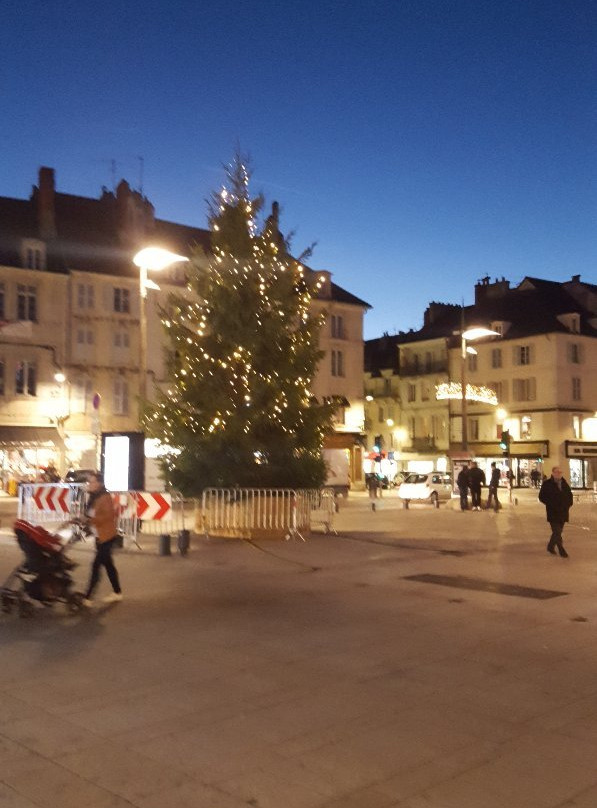Place de la Liberte-隆勒索涅必去景点