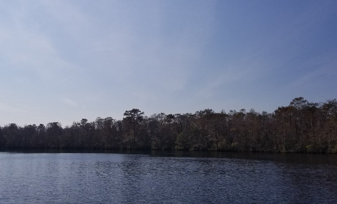 Waccamaw River Tours-美特尔海滩必去景点