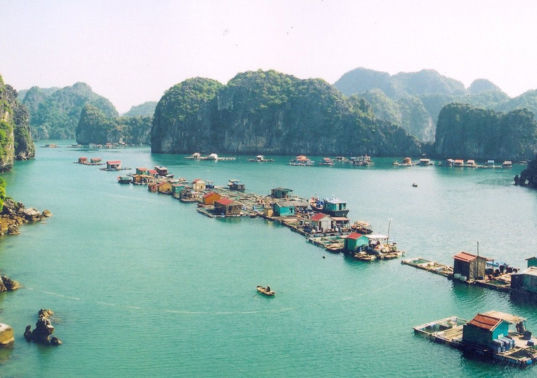 Heritage Day Cruise - Life Heritage Resort Ha Long Bay-团洲岛必去景点