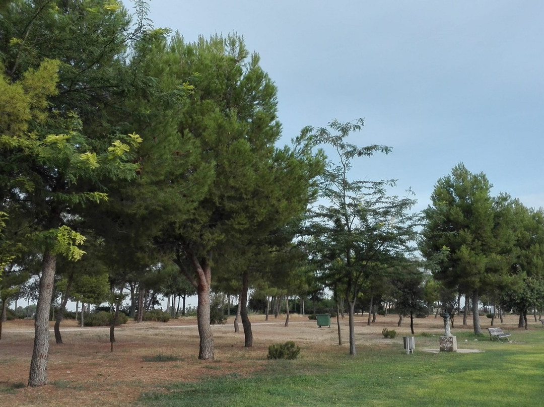 Parque de la Fiesta del Arbol景点图片