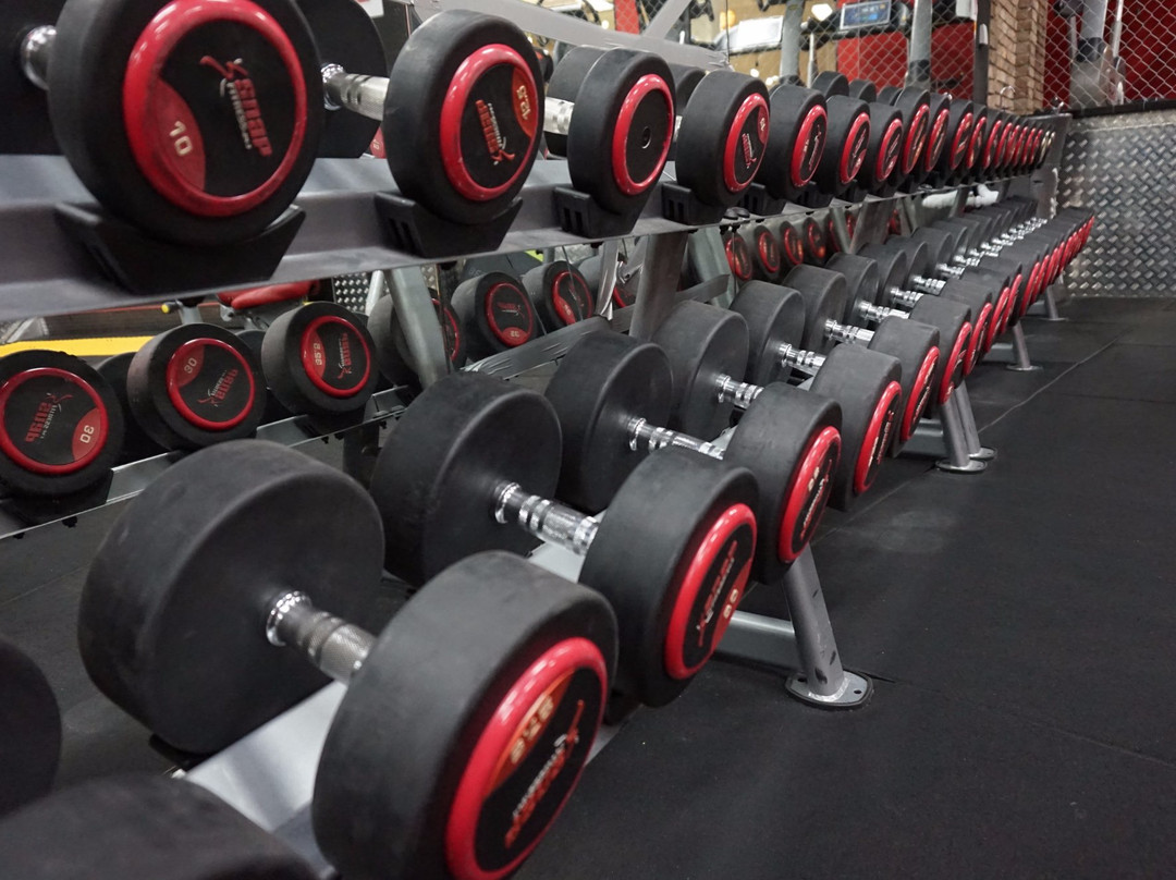 Snap Fitness Double Bay-Woollahra必去景点