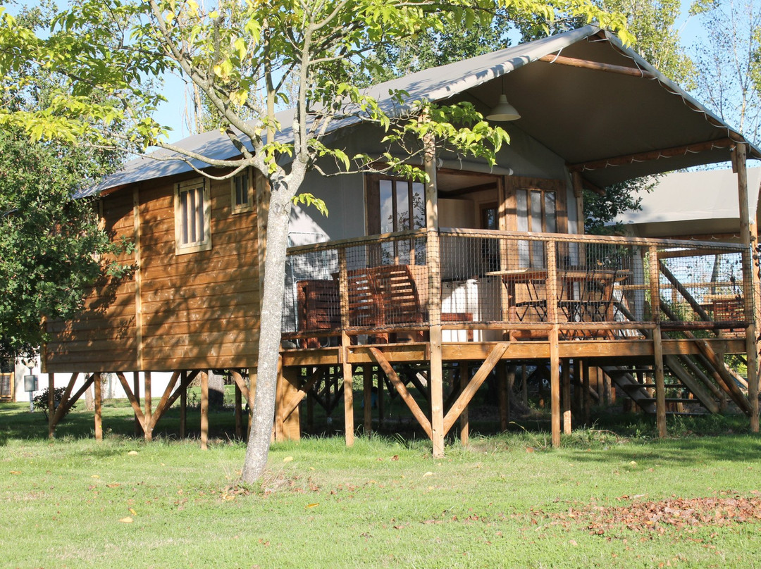 Camping du Bosc