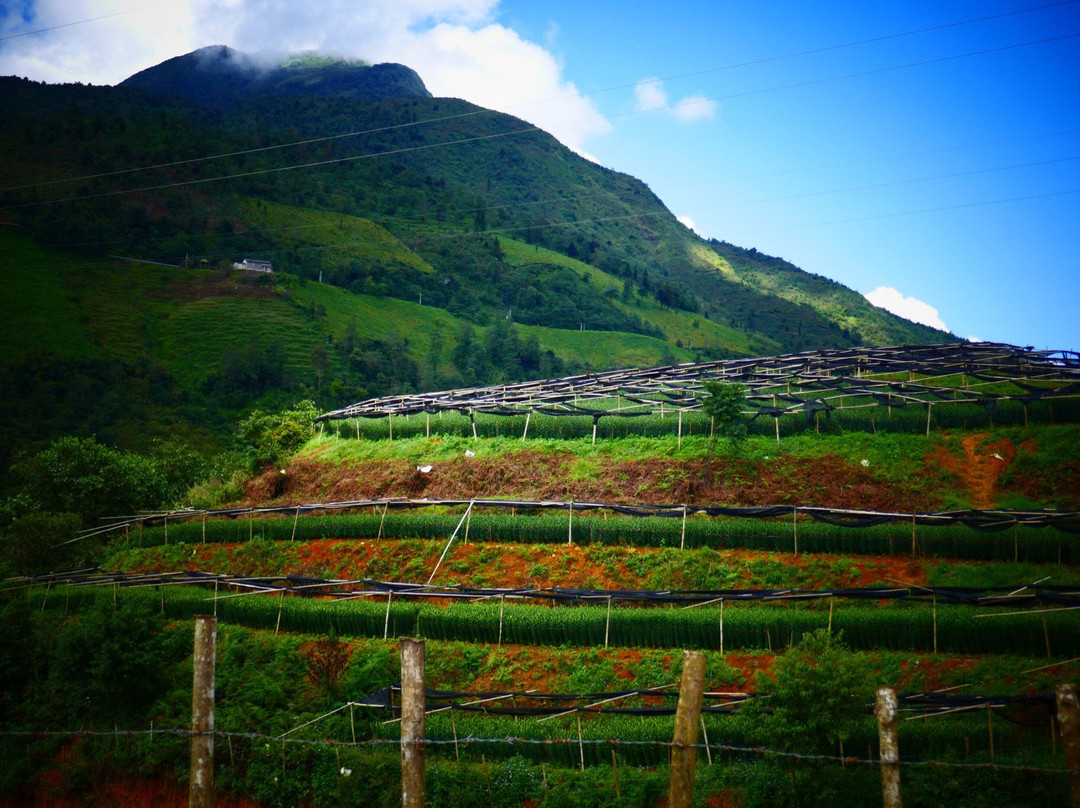 Bac Ha Discovery Trek-Bac Ha必去景点