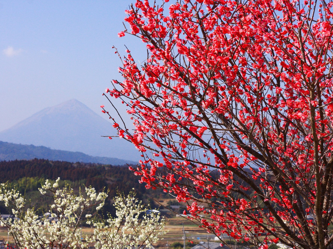 Takasaki Town General Park-都城市必去景点