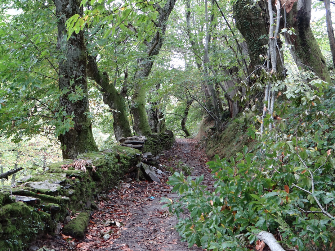 Dehesa da Rogueira-Folgoso do Courel必去景点