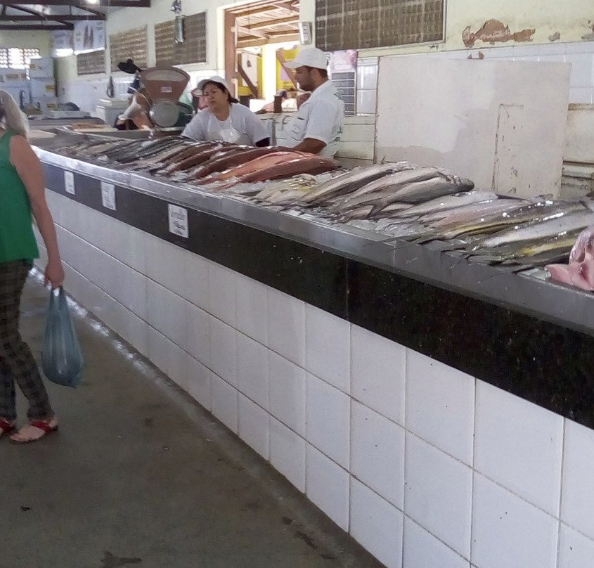Mercado do Peixe景点图片
