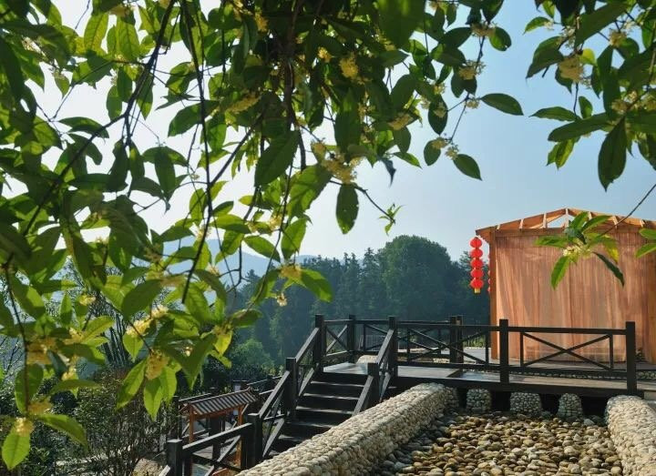 三江森林温泉杜马仕酒店主图