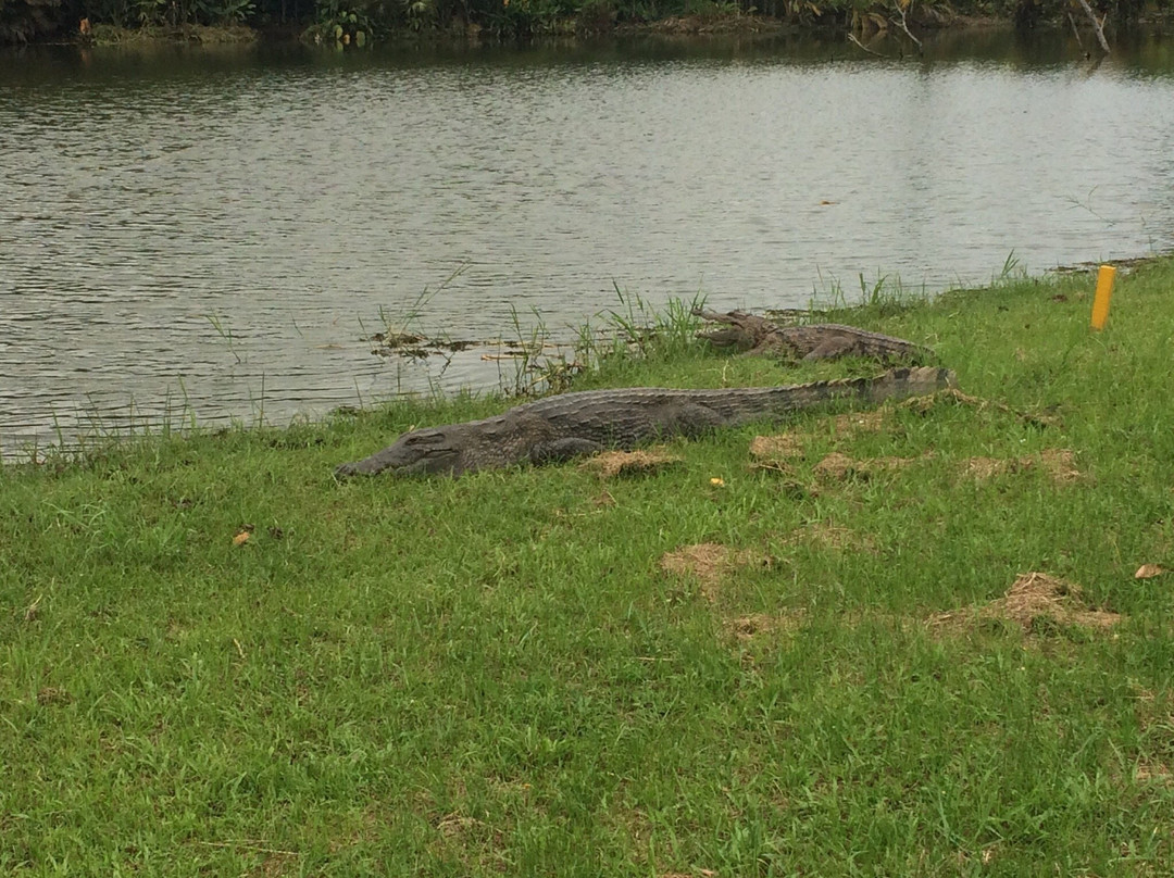 Ivoire Golf Club-阿比让必去景点