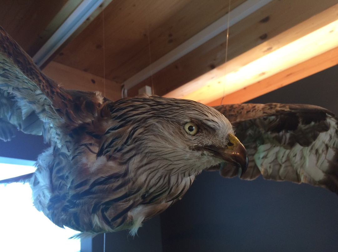 BirdLife-Naturzentrum Neeracherried-Neerach必去景点