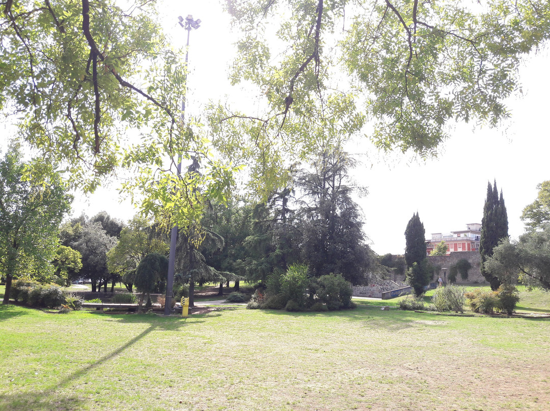 Pontelungo旅游景点-Parco di Monteoliveto