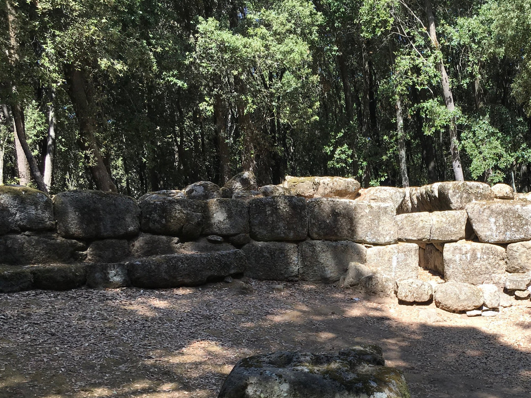 Parco Archeologico e Naturalistico del Bosco Seleni-Lanusei必去景点