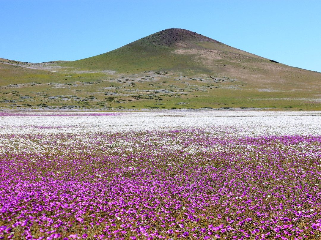 GeoTurismo Atacama-Caldera必去景点