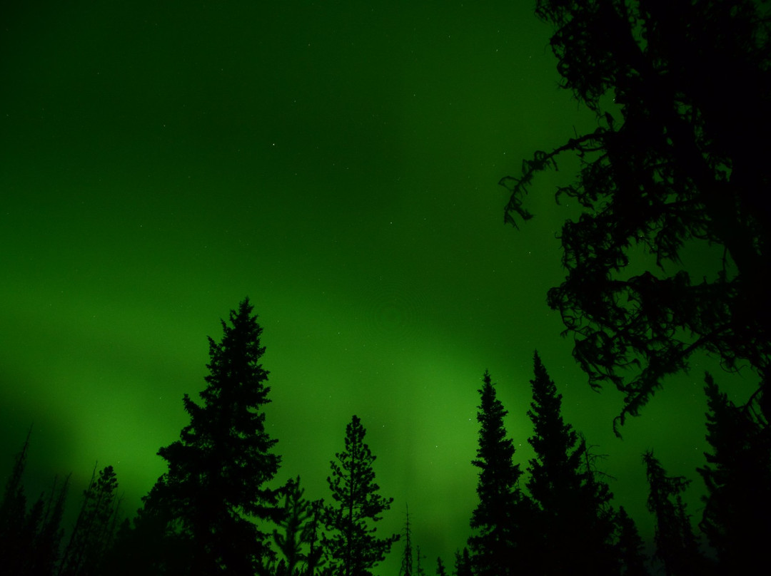 Burns Lake Visitor Centre-Burns Lake必去景点
