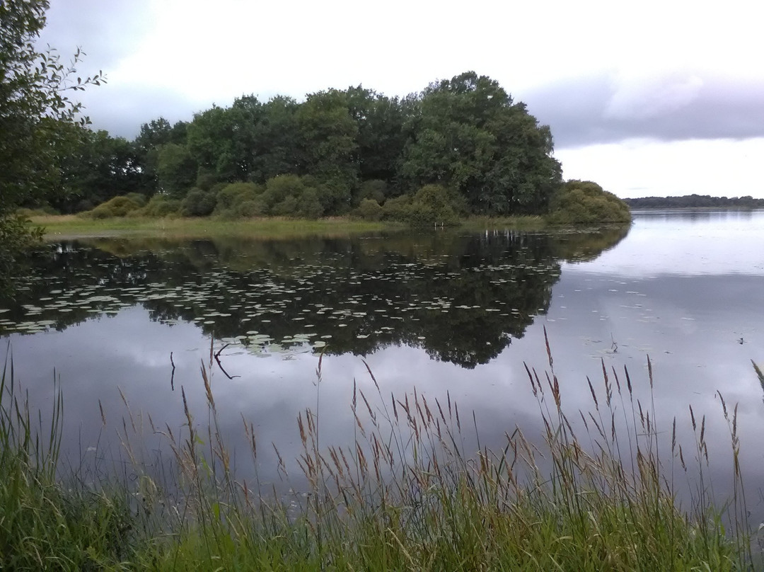 Réserve Naturelle Nationale de l'Etang des Landes景点图片