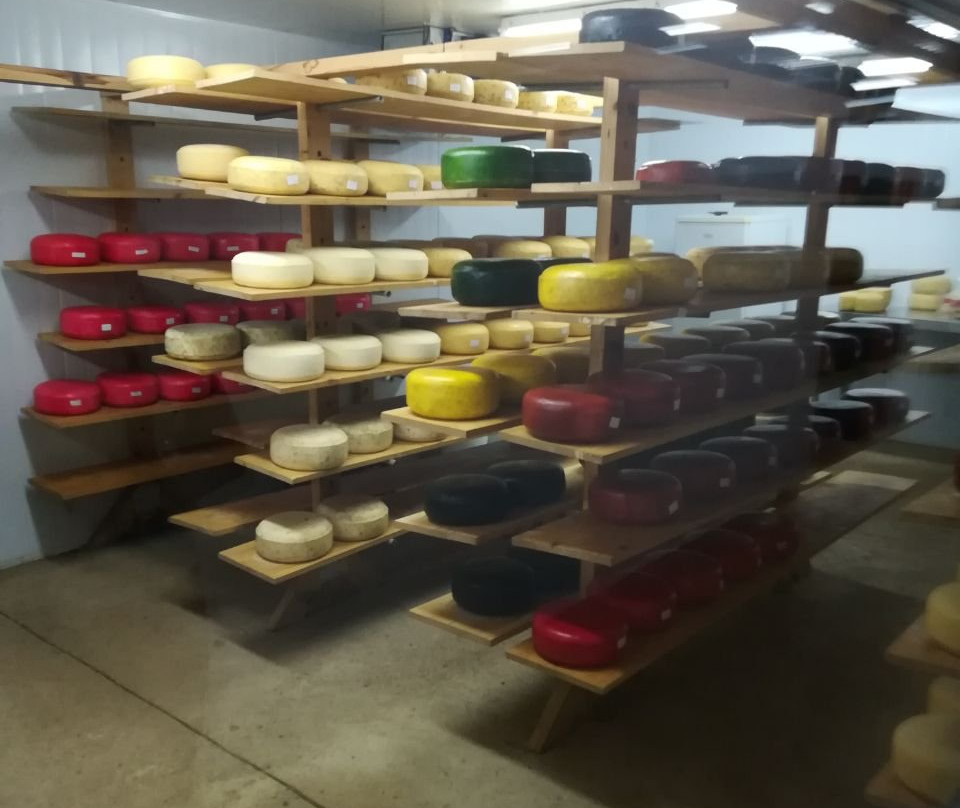 Underberg Cheesery景点图片