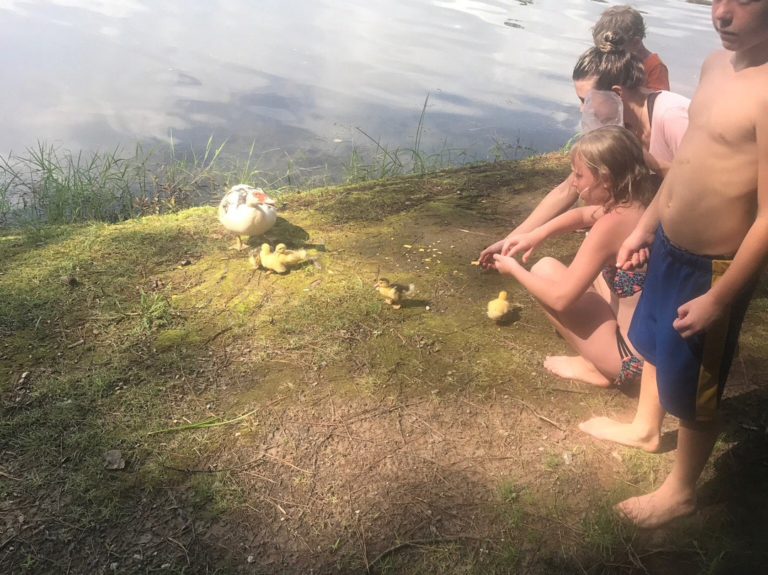 John Tanner Park-卡罗尔顿必去景点