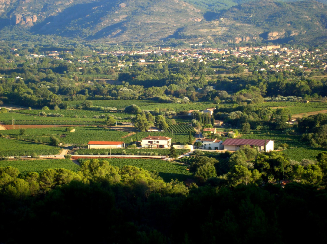 Domaine De Canta Rainette-La Motte必去景点